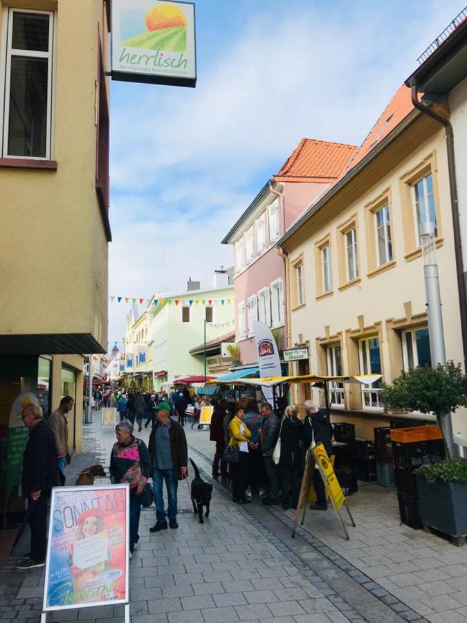 Boutique-Ferienwohnung Im Alten Weinhaus Moser Grünstadt Esterno foto
